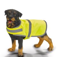 Pet Wear Thumbnail
